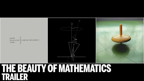 The Beauty of Mathematics