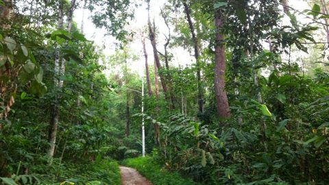 5 best hikes in KL