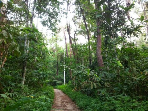 5 best hikes in KL